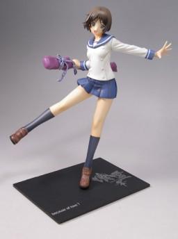Picture of the figure