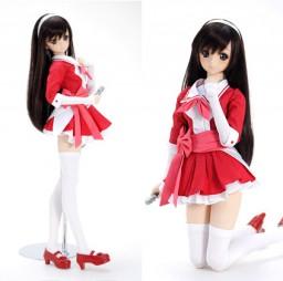 Picture of the figure