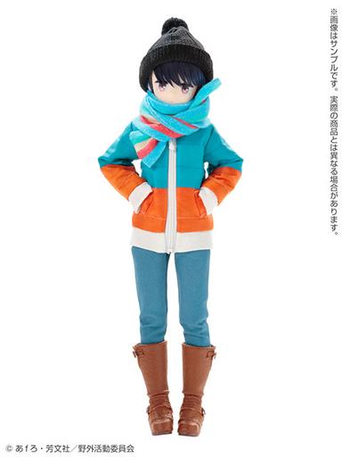 Picture of the figure