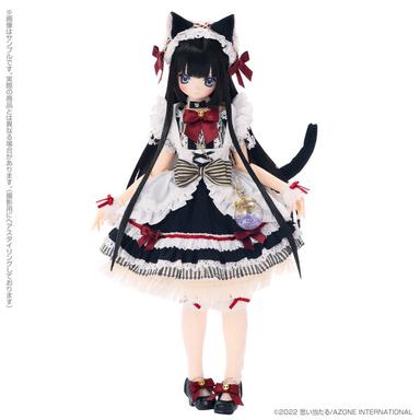 Picture of the figure