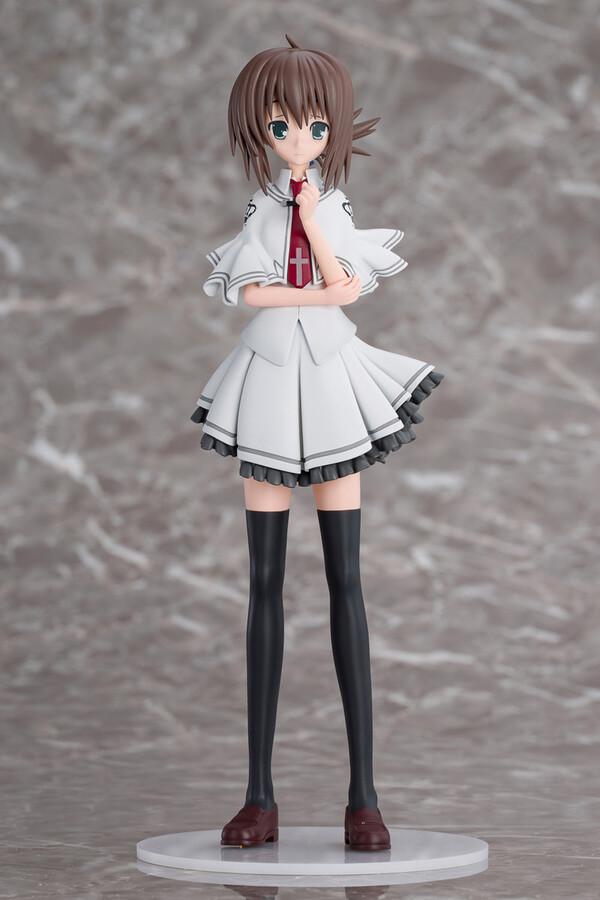 Picture of the figure