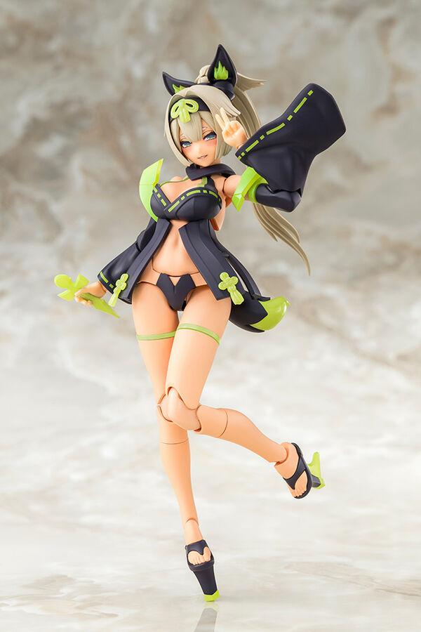 Picture of the figure