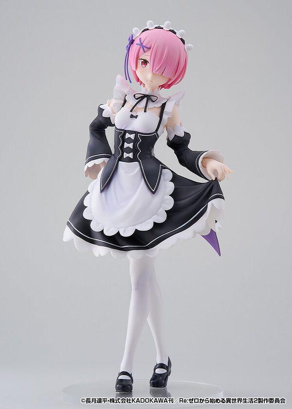 Picture of the figure