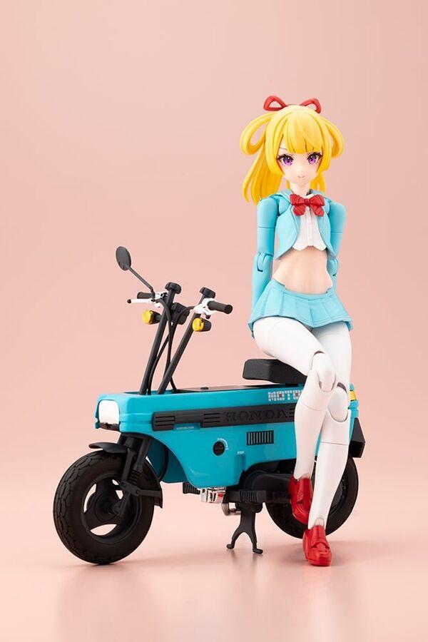 Picture of the figure