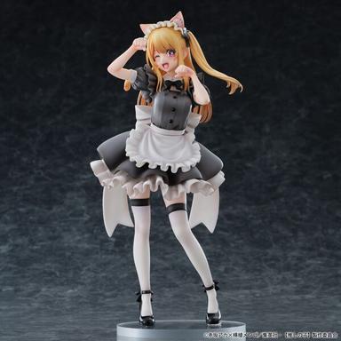 Picture of the figure