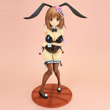 Picture of the figure