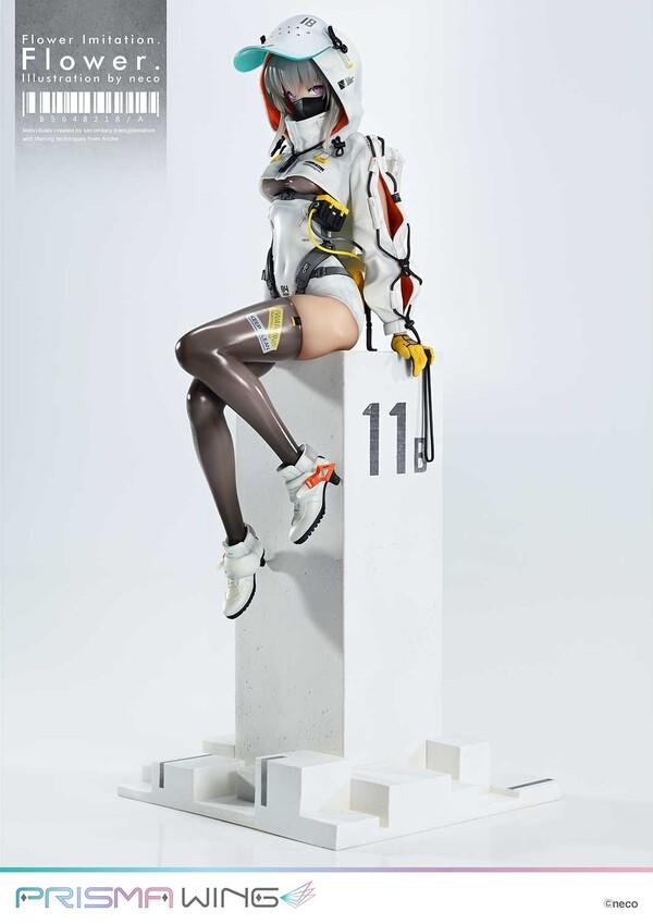 Picture of the figure